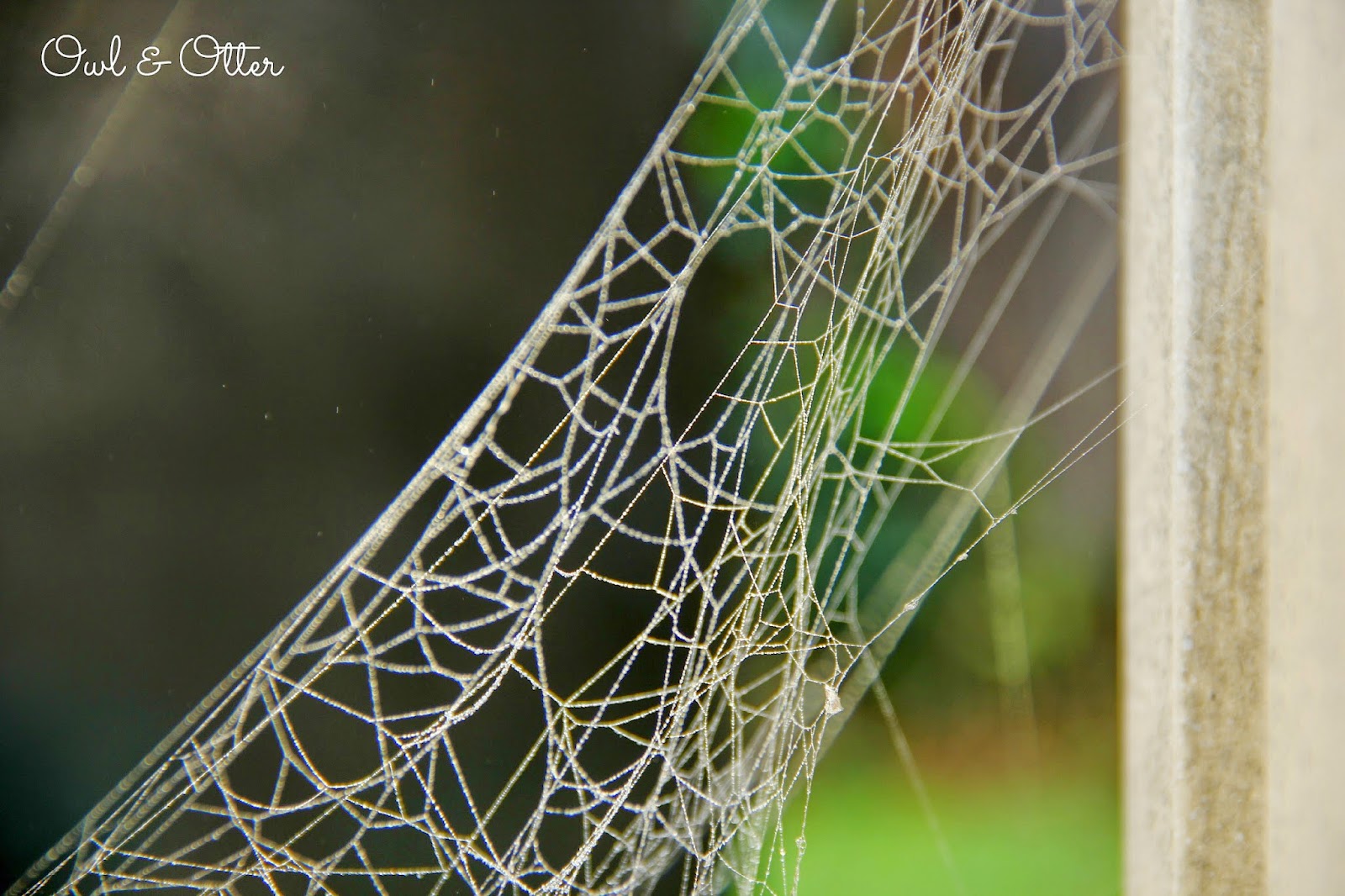 Spray Paint, Glitter, and Spider s