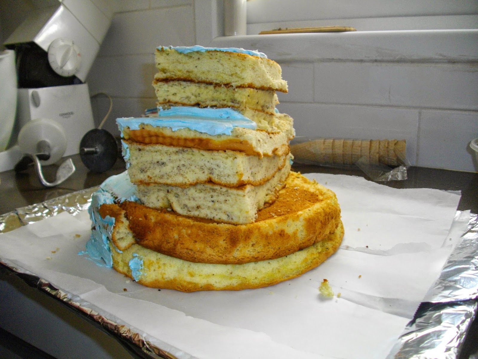 IMGP2860 - עוגת יומולדת בצורת ארמון