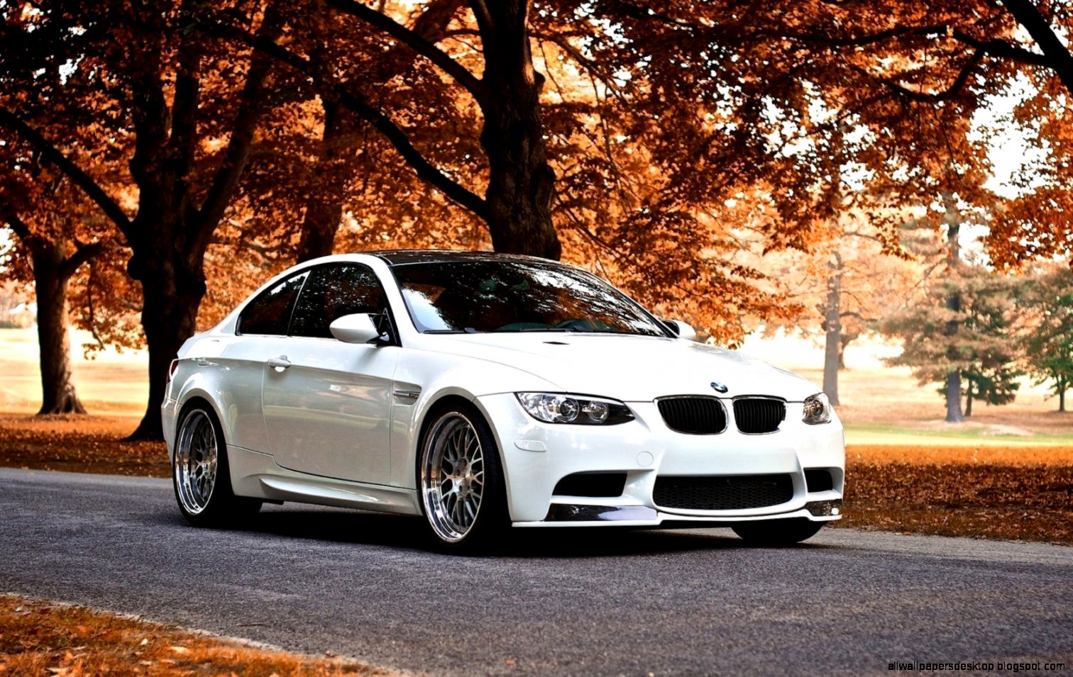 White Bmw Photo Hd Wallpaper All Wallpapers Desktop