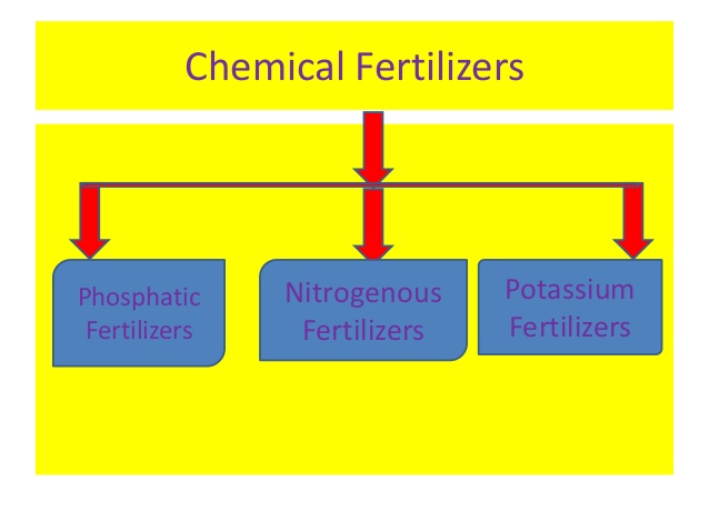 Classification of chemical fertilizers/inorganic fertilizer