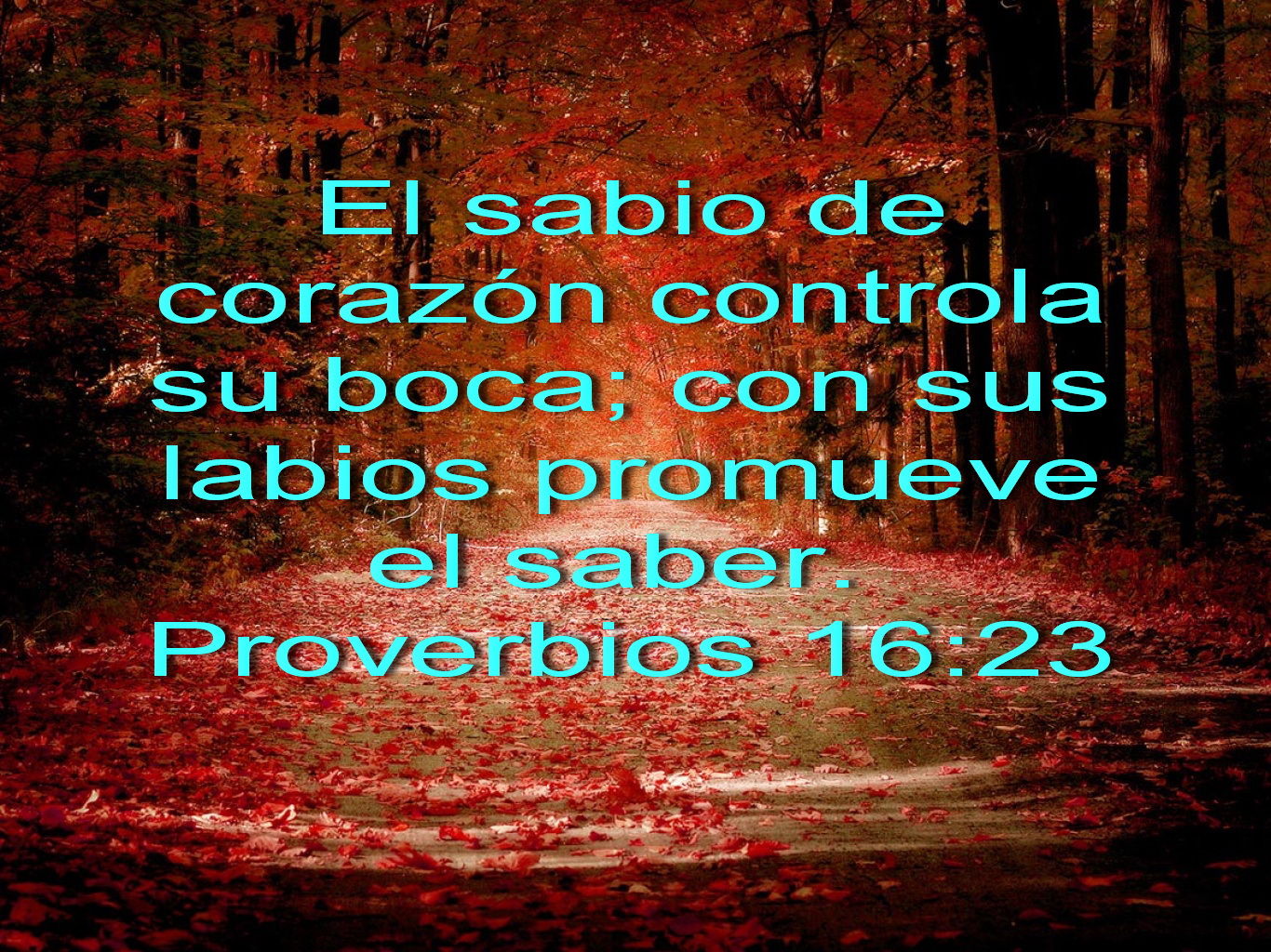 Proverbios Imagui proverbios-imagui