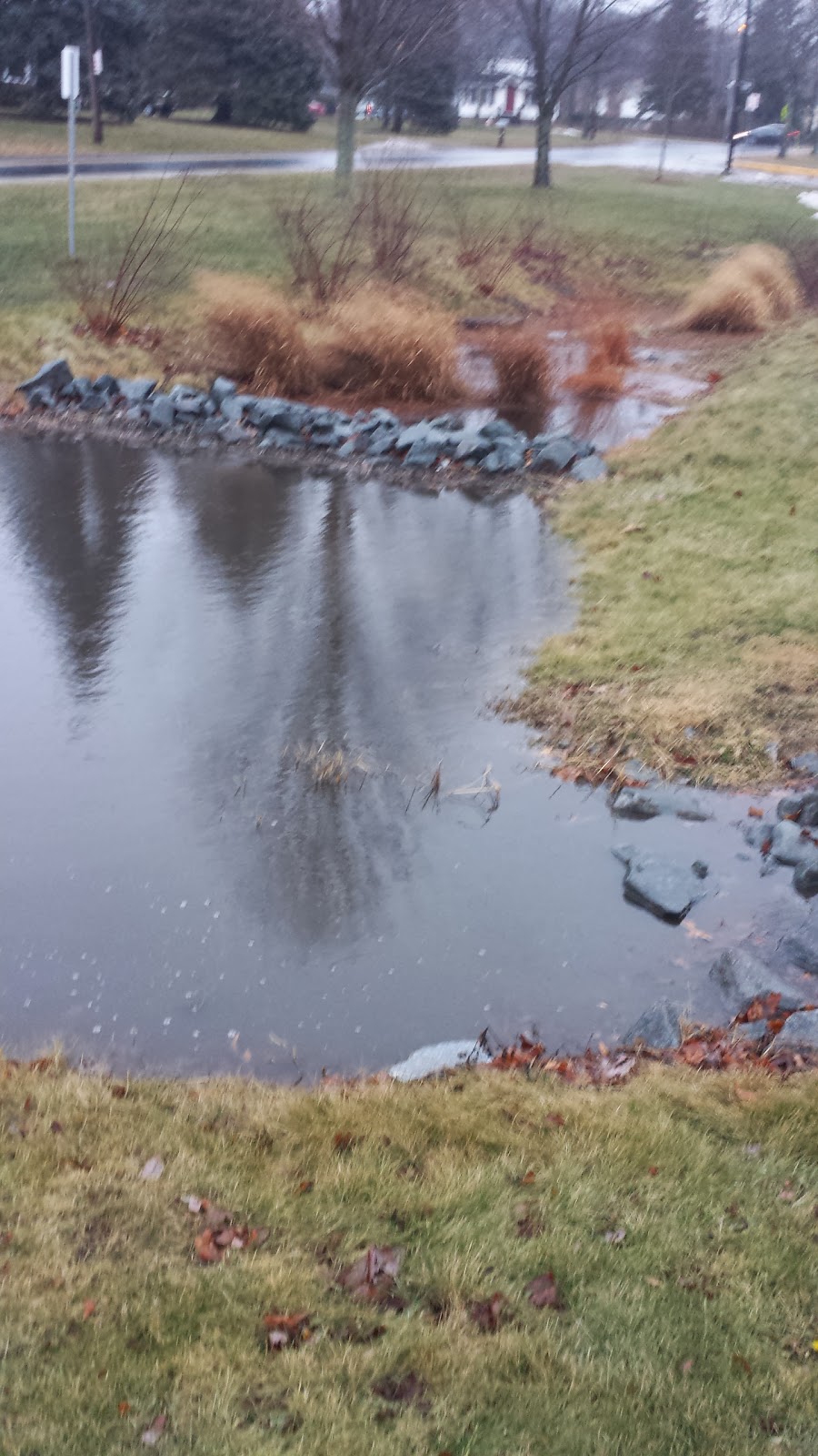 Franklin Matters on how to build a rain garden"