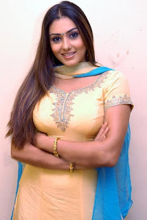 Namitha Hairstyle Picture Gallery - Indian Celebrity Hairstyle Ideas
