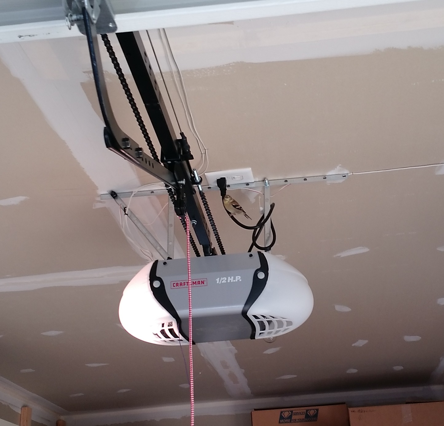 Fongpay's Universe Bird Stuck in the Garage