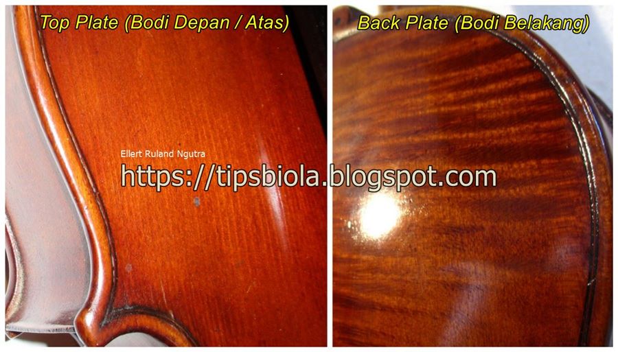 Tips Biola Apa Itu Purfling Dan Fungsinya Pada Biola (Akustik)