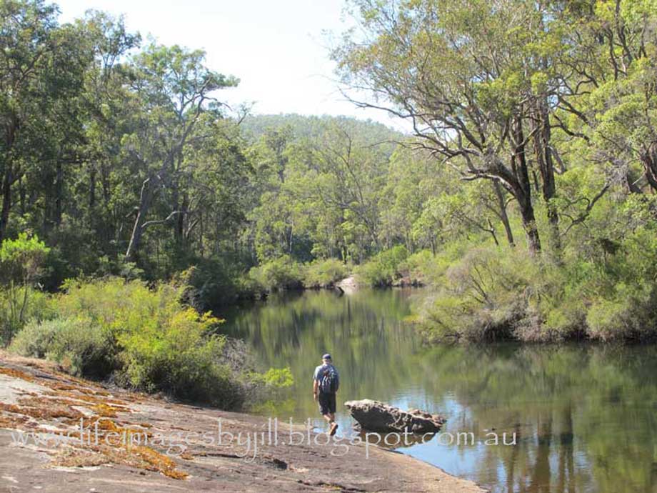 Life Images by Jill Camping at Potter's Wellington Dam, Western