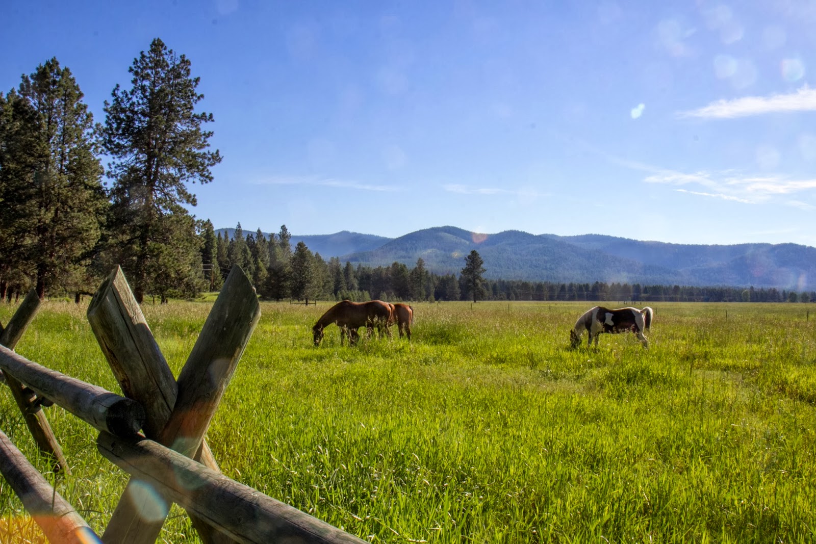 Travelers For Open Land Stories and Updates January 2014
