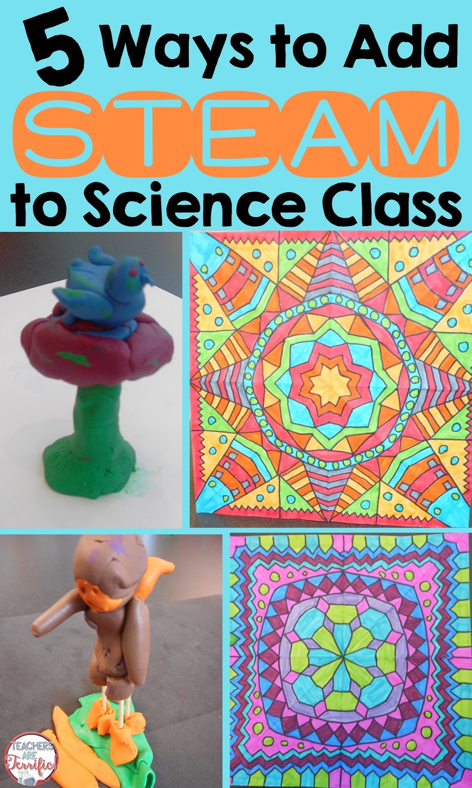 Five Ways to Add STEAM to Your Science Class! - Teachers Are Terrific ...