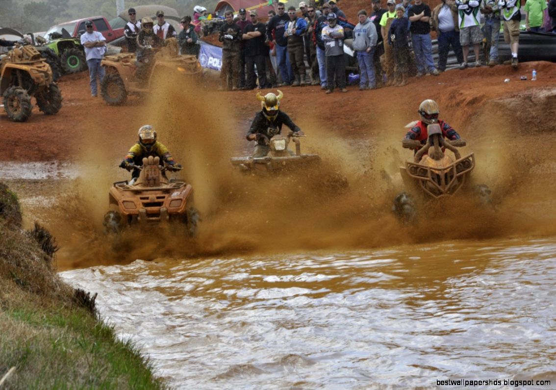 Mudding Festival