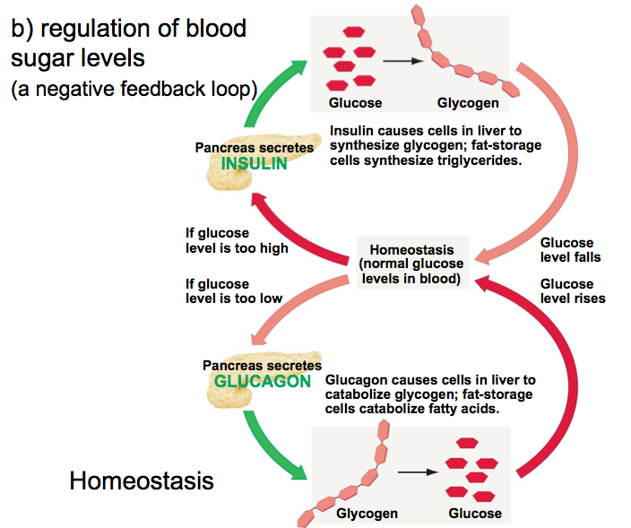 This is the only level. Too levels. Was sitting. Too levels. Too low пежо 308.