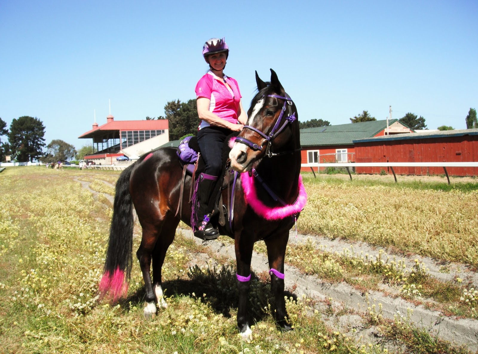 Jackson Hill Horsey Girl: 2013 Hero Ride For Life