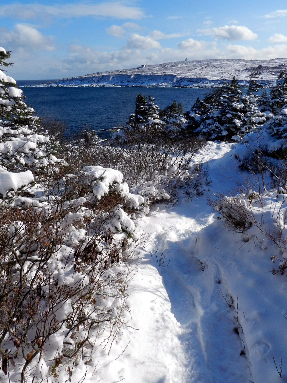 Elfshot Snowshoeing the East Coast Trail