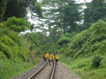 The Green Corridor