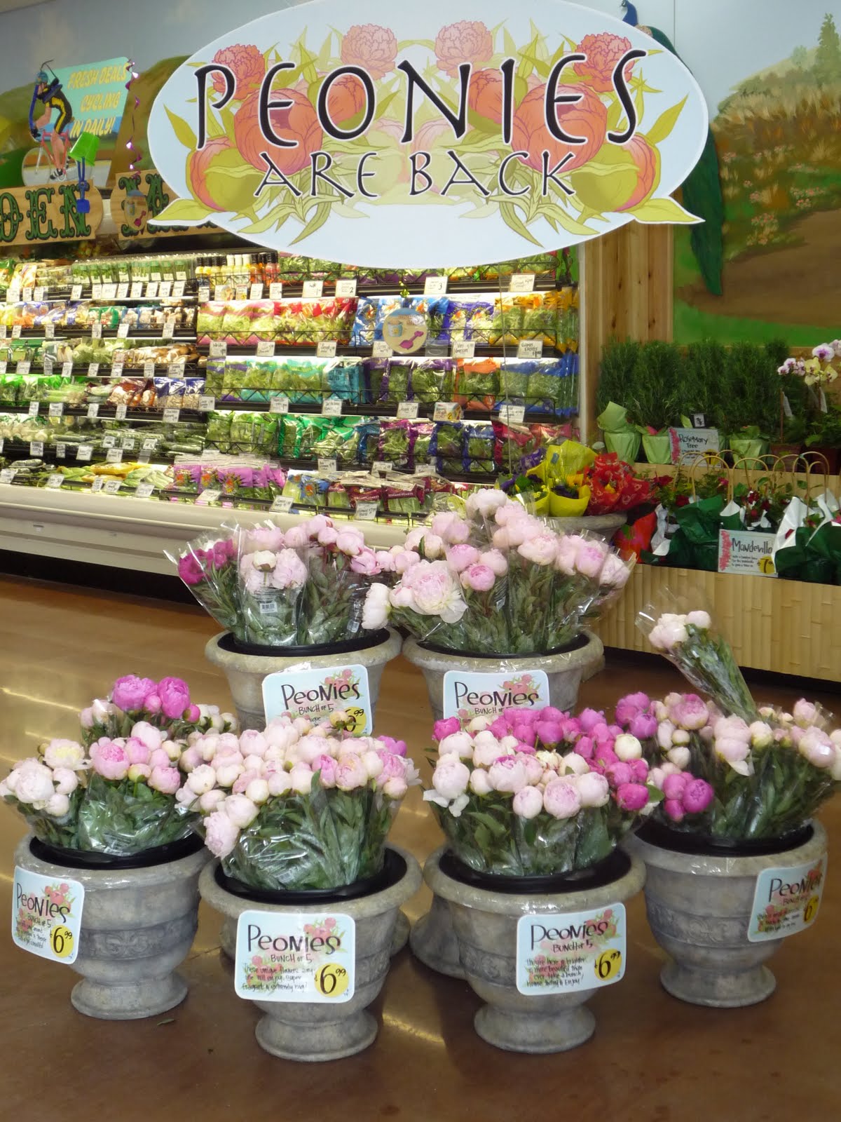 More We J'adore Peonies!