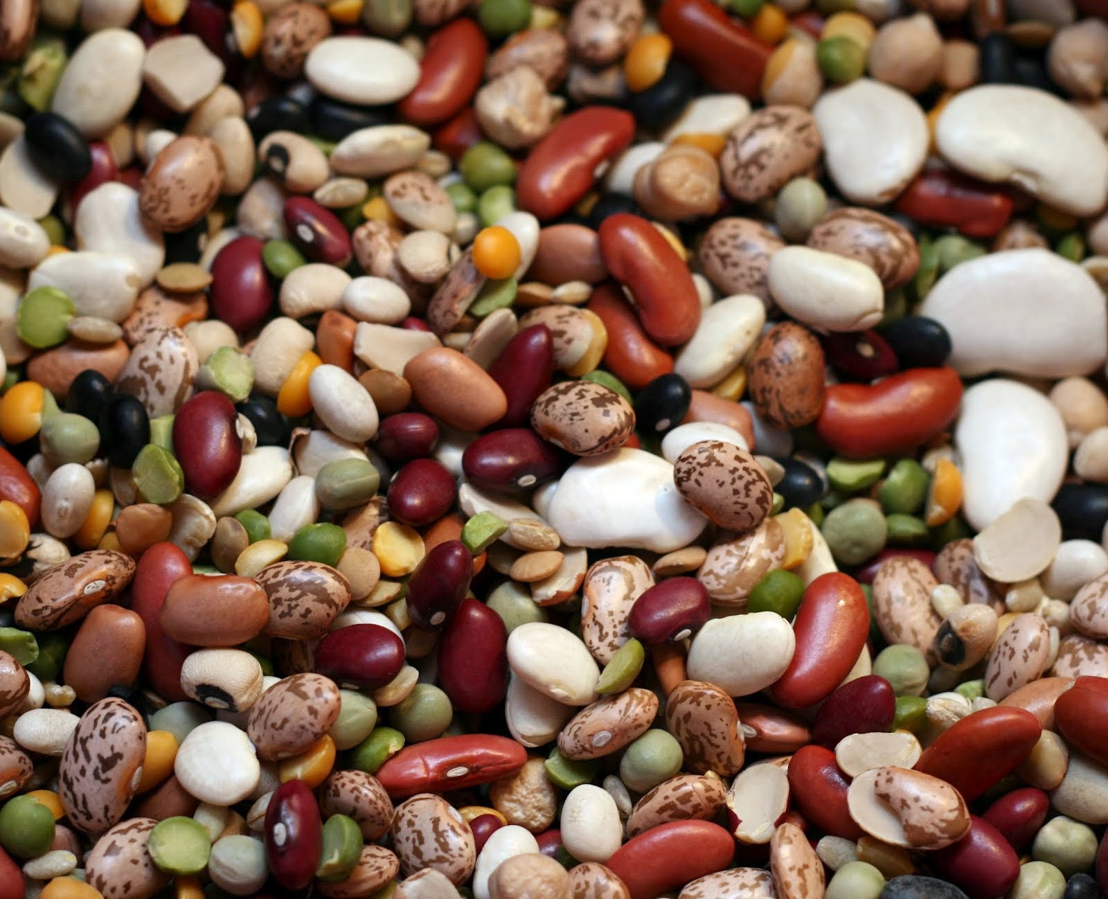 alimentos altos en vitamina b17