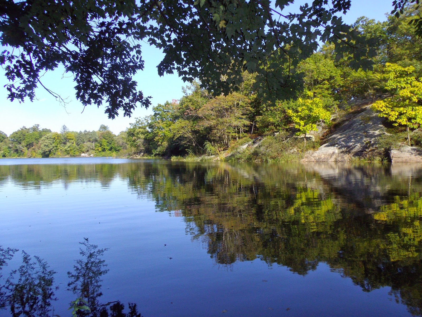 The Great Lakes of NYC Sheldrake Lake