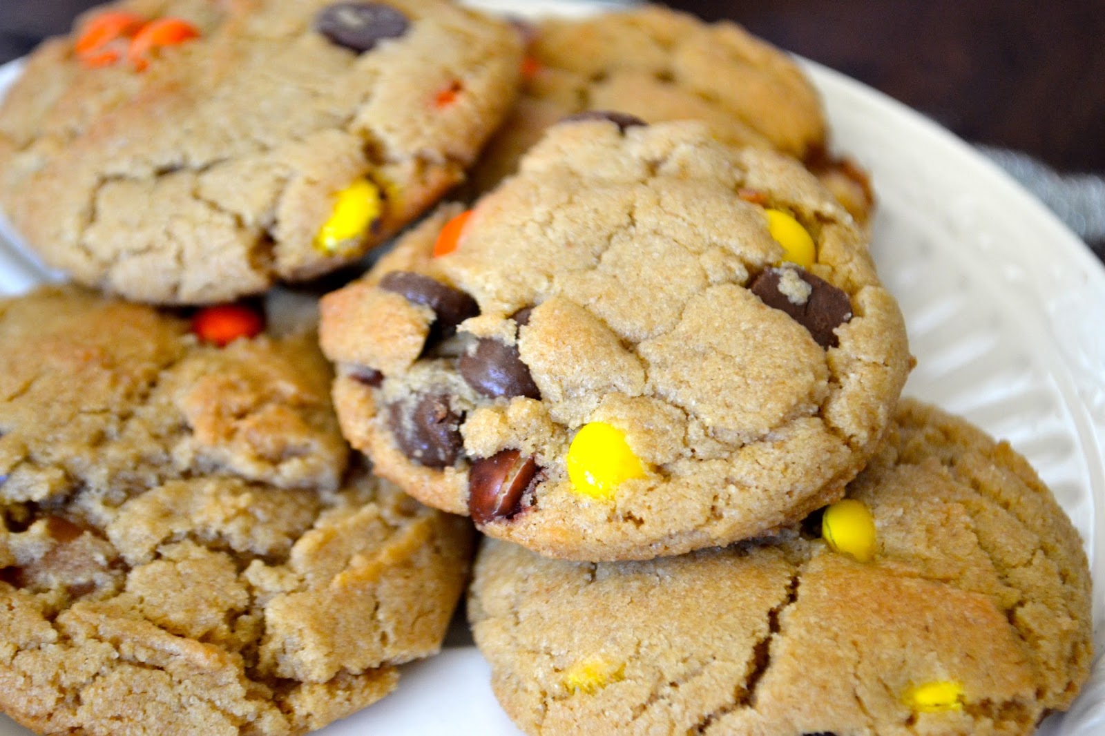 The Newfangled Housewife EVERYTHING DELICIOUS [Chocolate Chip, Reese's