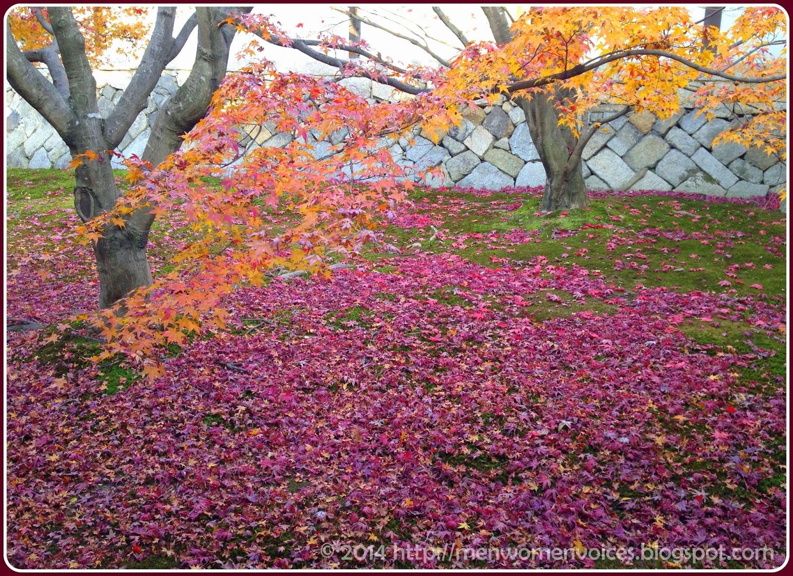 日本京都东福寺通天桥的红叶秋色tofukuji Temple Kyoto Japan