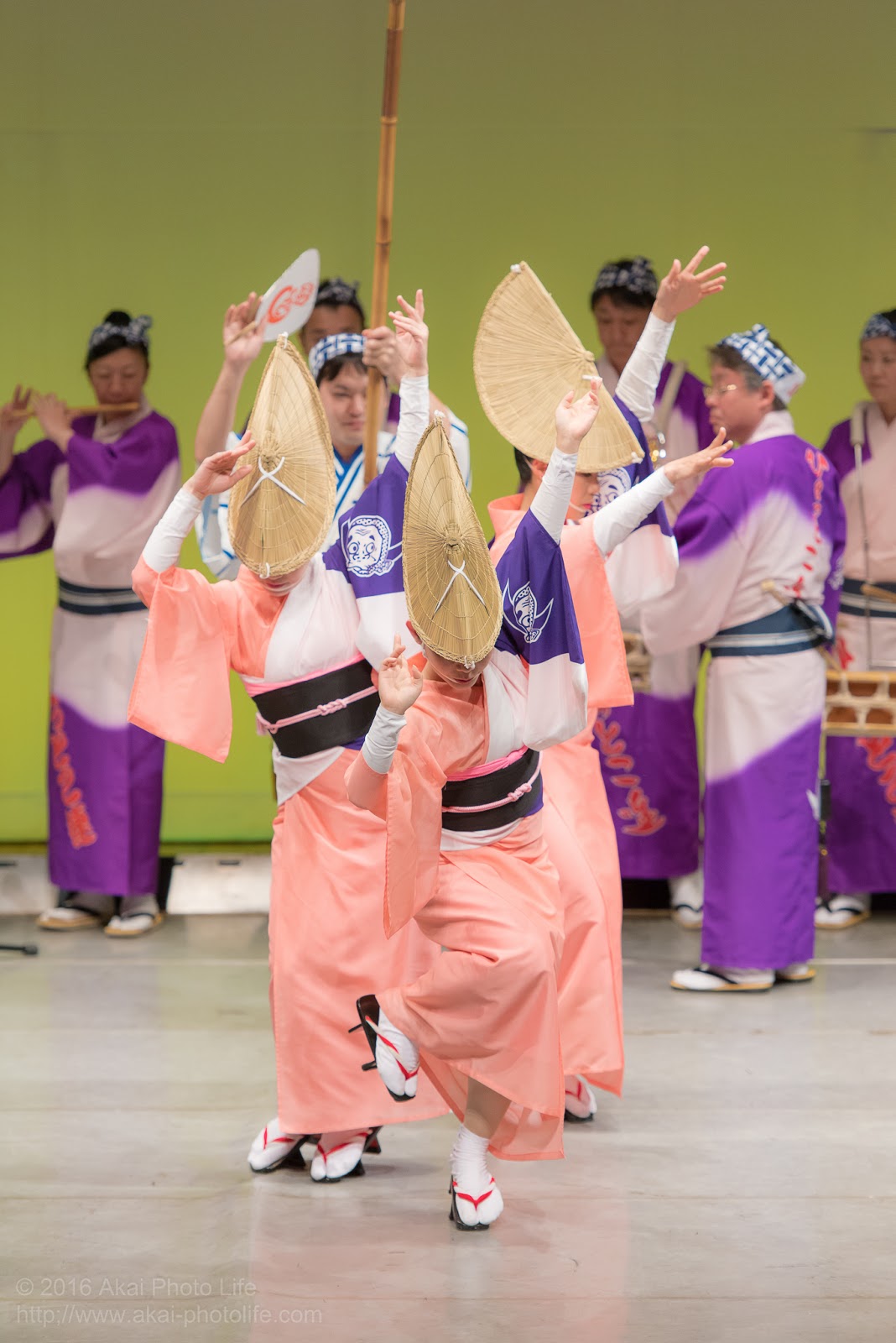 阿波踊り、ひょっとこ連、せいせき桜まつり