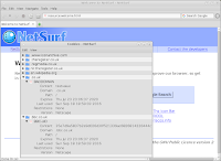 NetSurf cookie manager showing a supercookie