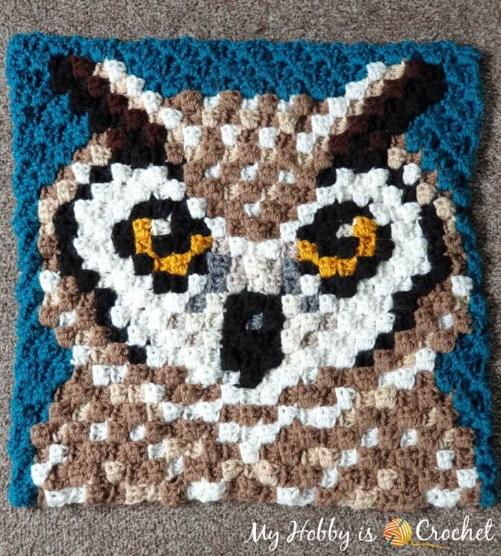 Horned Owl C2C Square