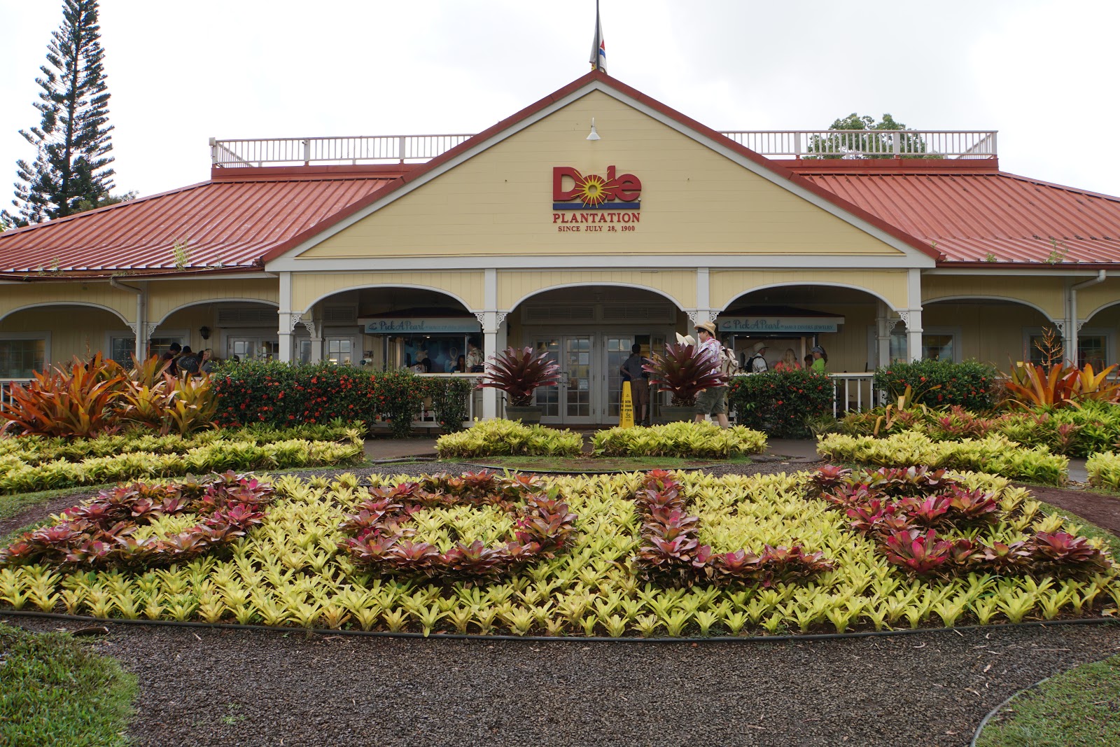 Dole Plantation Pineapple ice cream is so good! SesameTravel