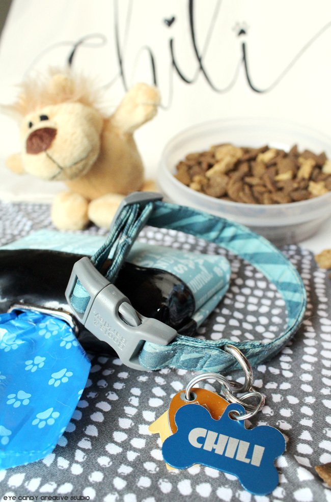 Eye Candy Creative Studio DIY Personalized Doggie Bag