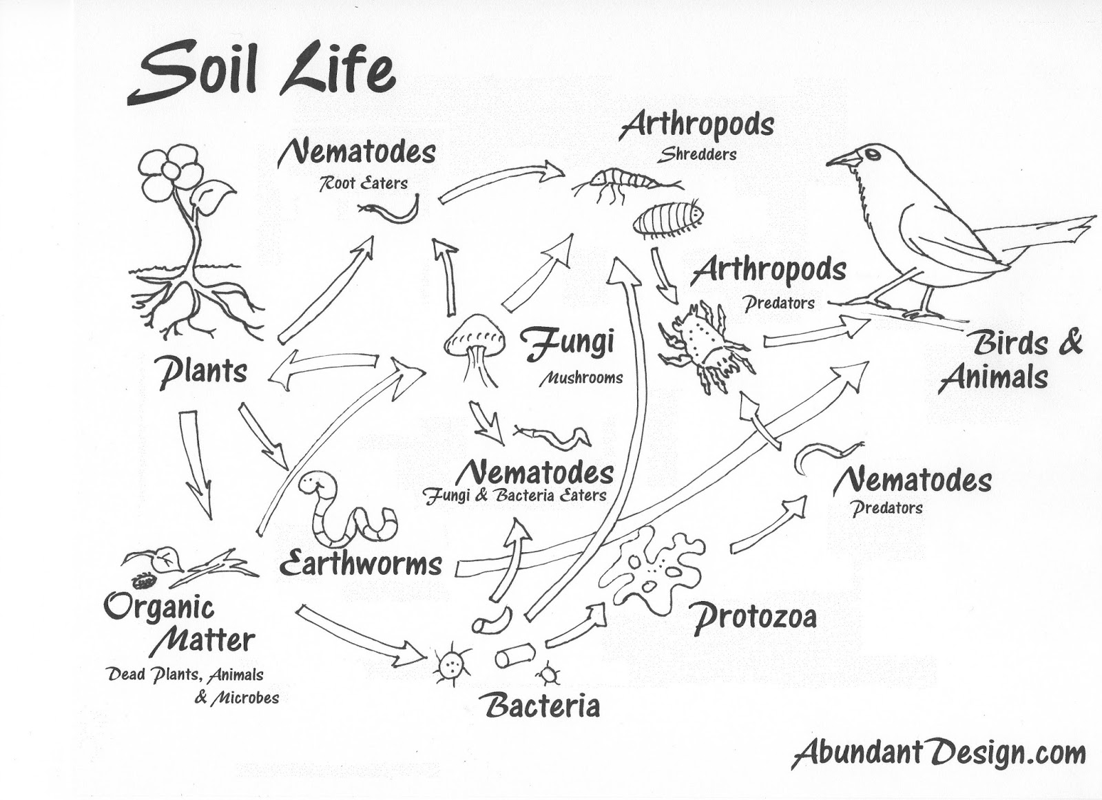 Soil Coloring Page