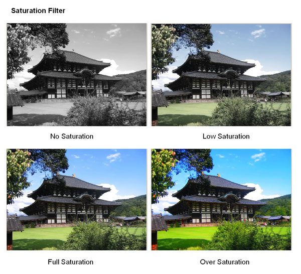 The (ONLY) Evergreen Instagram Guide (you will ever need) The