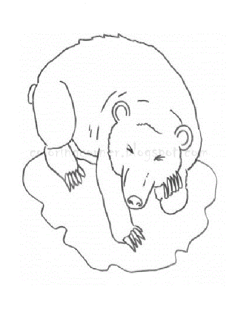 Bear Coloring Pages 57