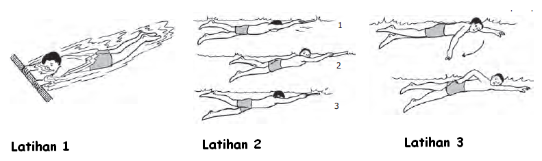 Latihan Teknik Pernapasan Pada Renang Gaya Bebas Edukasi Center