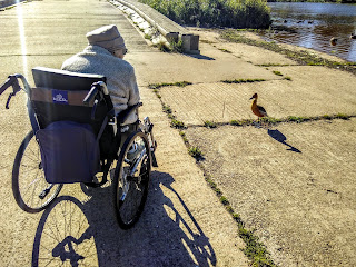 Things to do by the river Exeter: say hello to a duck. Granma Grace leans from her wheelchair to chat to the little curious duck.