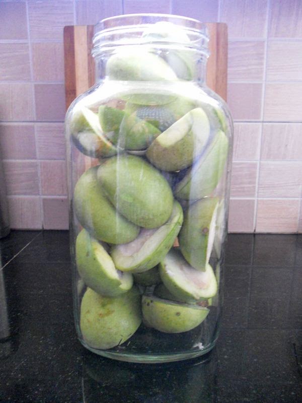 How To Preserve Raw Mangoes Uppilitta Manga