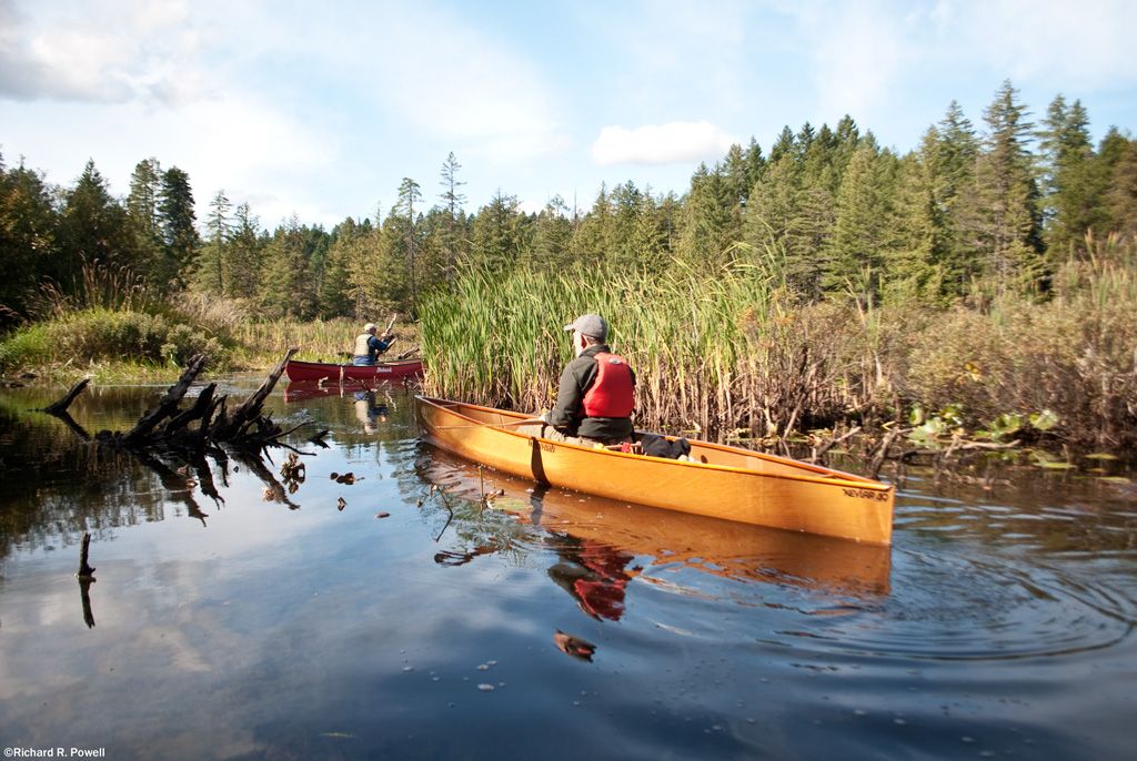 100 Lakes on Vancouver Island Maple Lake