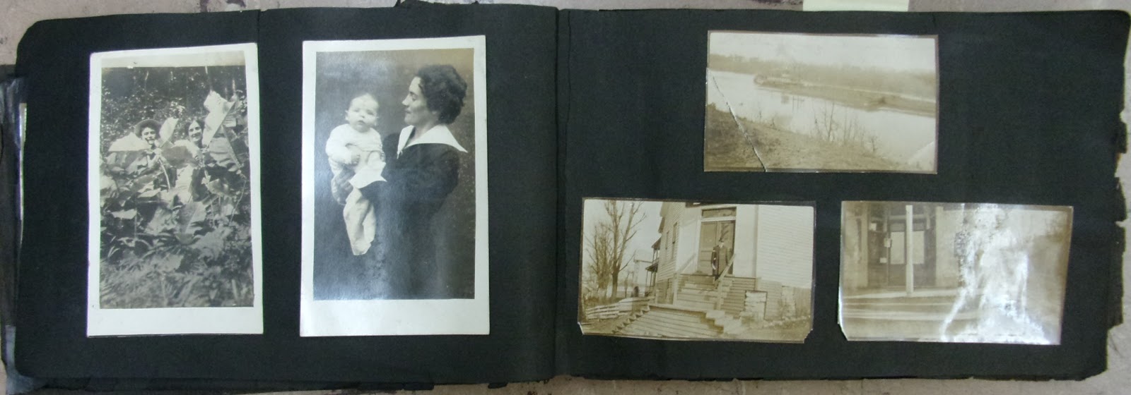 The family photograph album essay picture