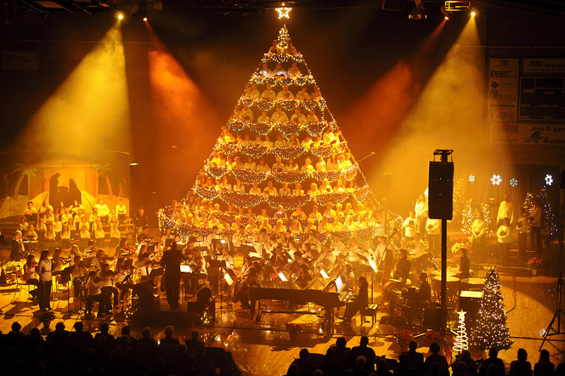 Chad's Concert Pix Living Christmas Tree, Aberdeen, SD