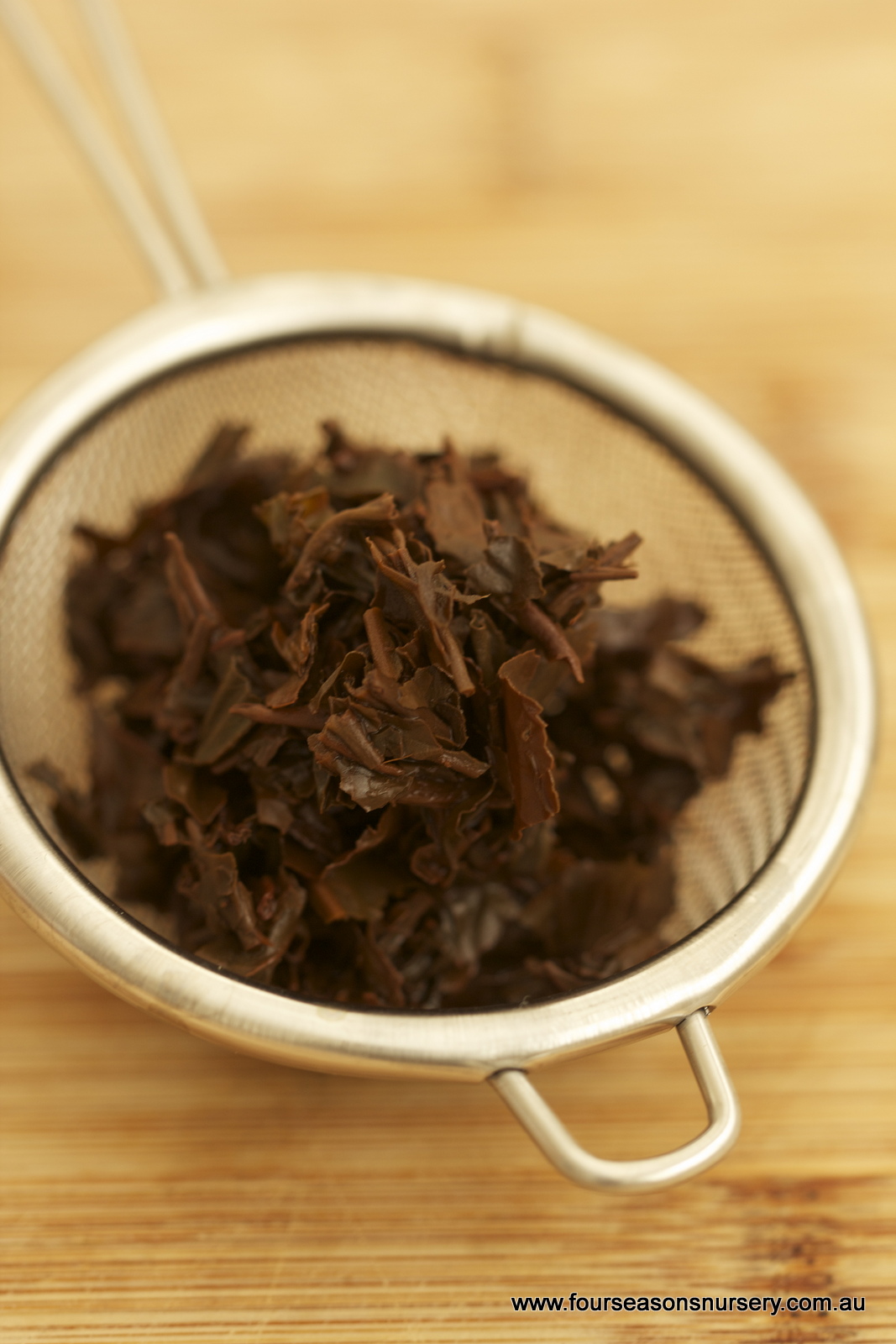 Four Seasons Nursery Keep Camellias Blooming A Guide To Preventing