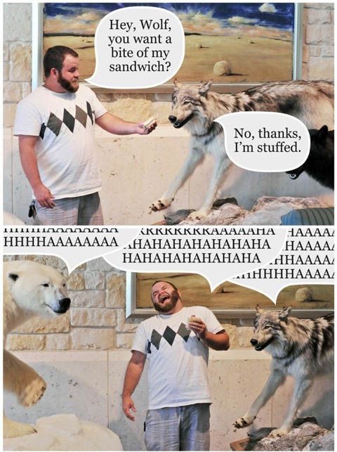 Sandwich Wolf - No, Thanks I'm Stuffed