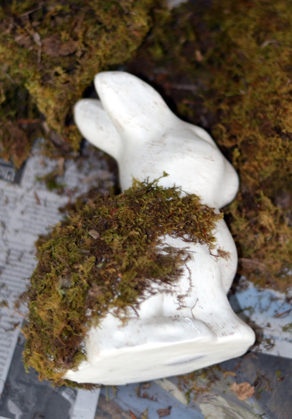 Moss covered bunny rabbit for under 5! Rachel Teodoro