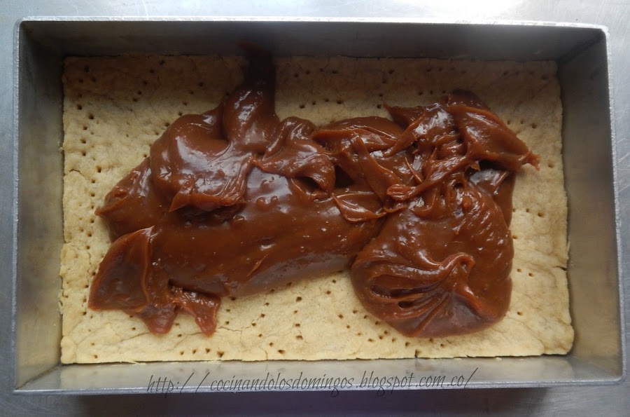 Cuadrados de coco y dulce de leche