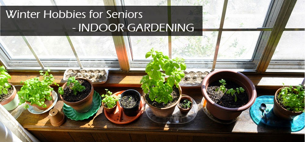 Innovative Ideas To Help Develop Winter Hobbies innovative-ideas-to-help-develop-winter-hobbies