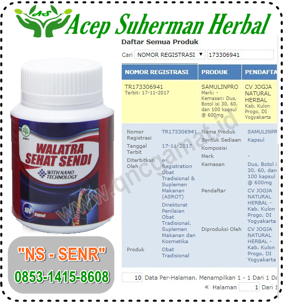 Obat Herbal Penyakit Rematik Paling Ampuh