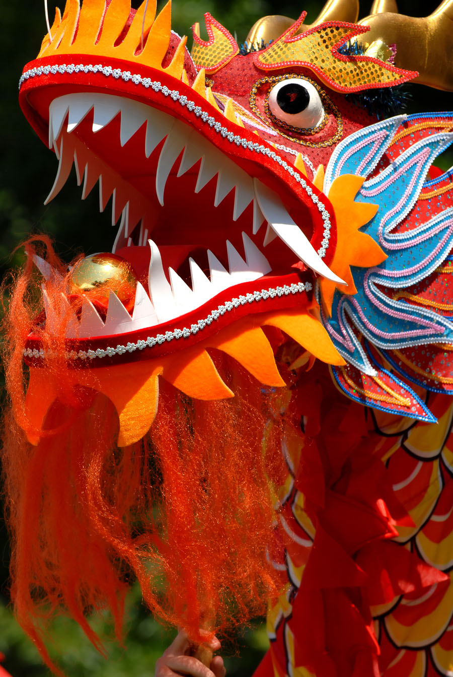 Chinese Dragon Chinese Dragon