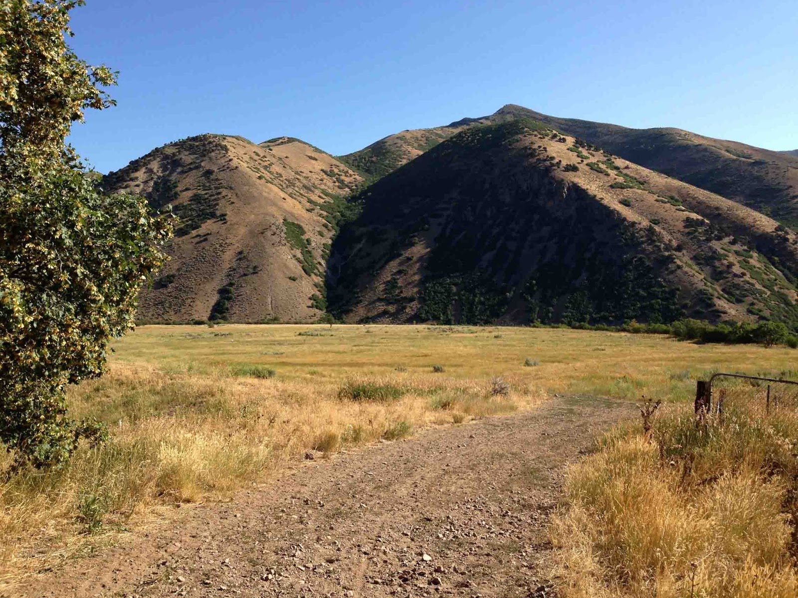 Rocky Mountain Bushcraft Photo Post Hammock Camping in the Utah