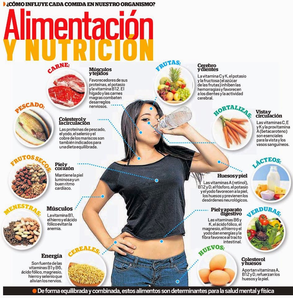 Alimentación Saludable Clasificación de los Alimentos
