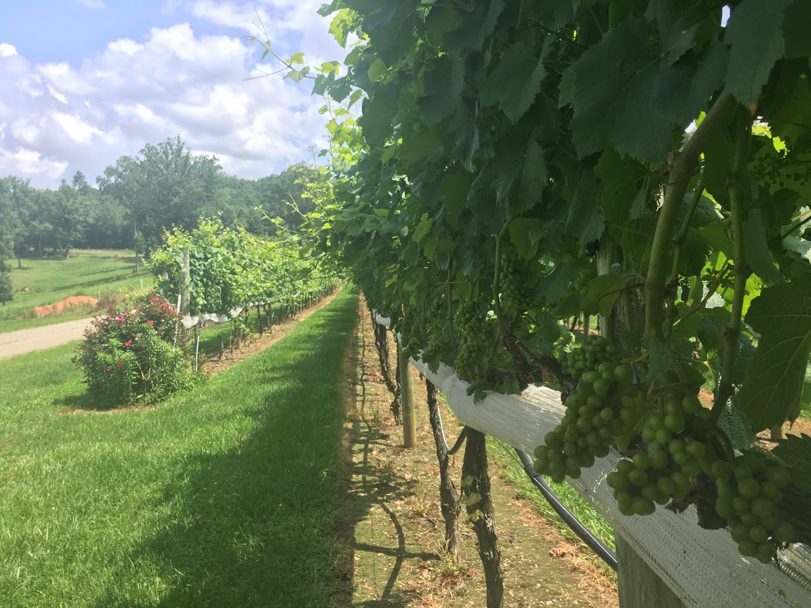 Life's Sweet Journey 5 Fun Things to do in Cherokee County, North Carolina