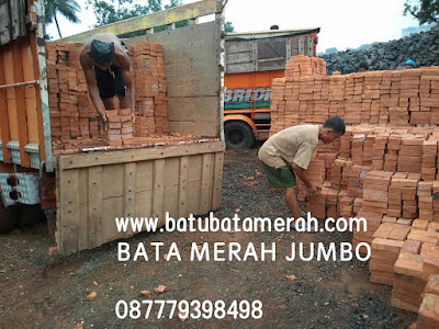 Jual Bata Merah Jumbo