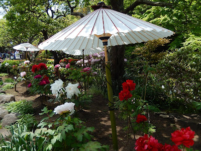 ���J���̃{�^��