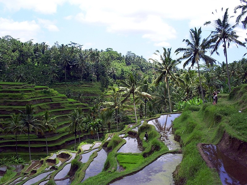 The LLemMoutD Pemandangan di INDONESIA yang indah 