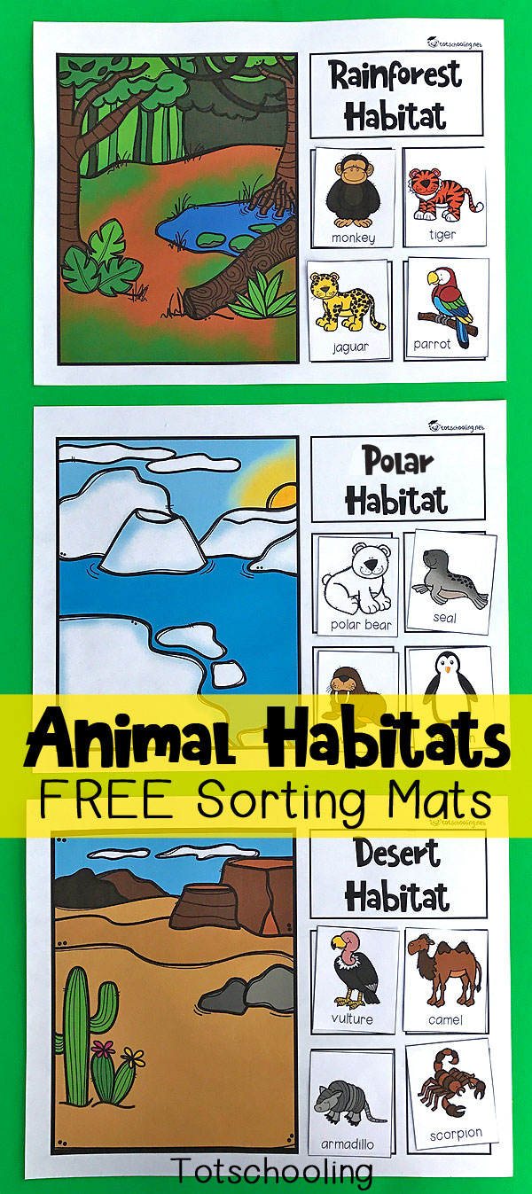 Animal Habitats Sorting Mats Totschooling Toddler Preschool 